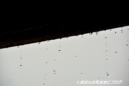 Nikon_20130713_170859.jpg