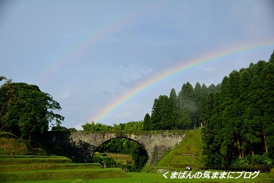 Nikon_20130713_172113.jpg