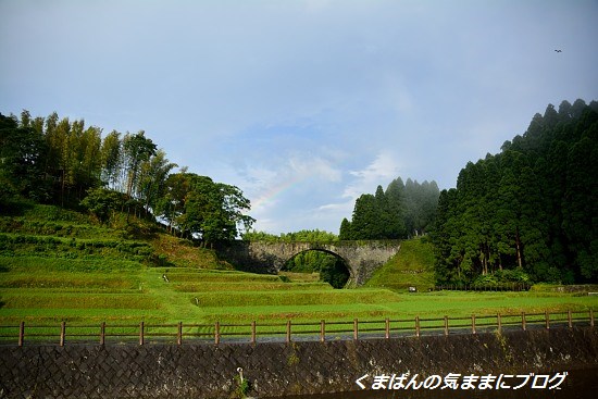 Nikon_20130713_172409.jpg
