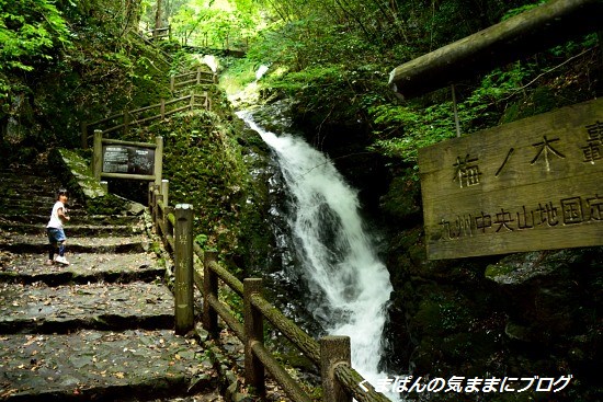 Nikon_20130714_152424.jpg