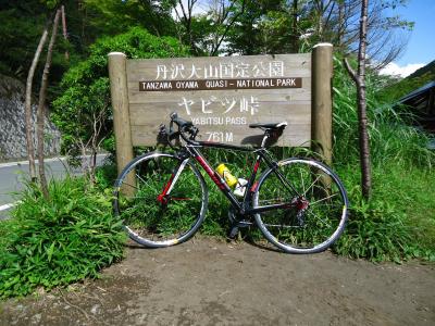DSC00378_convert_20120811163121.jpg