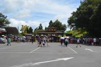 土曜で観光客の多い清境農場青青草原入口