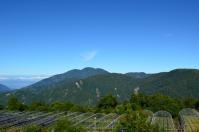 清境儷景豪斯登堡の朝2