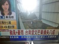台風+豪雨で台南愛文マンゴー損失8割
