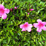 IMG_5073.png