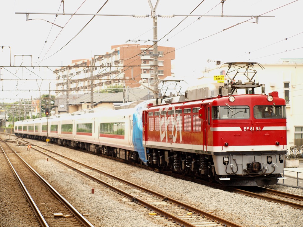 P6187525.jpg