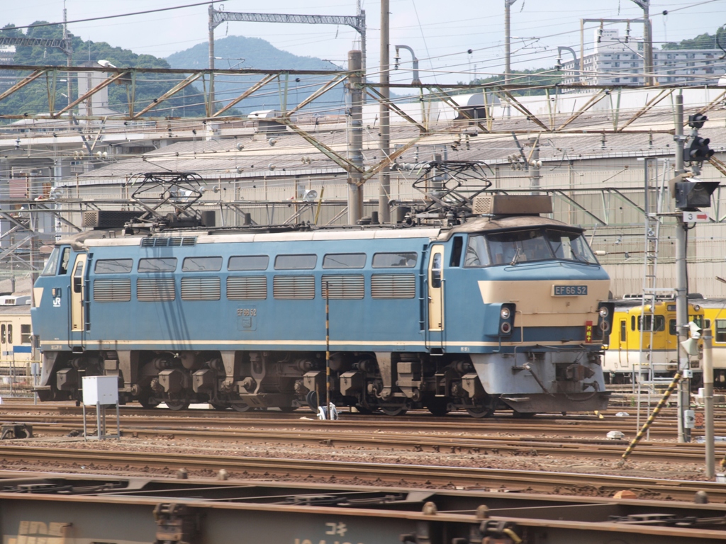 P8081484.jpg