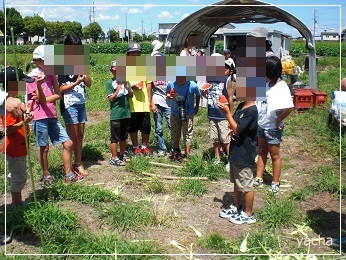 20120820スイカの種飛ばし