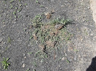 002_20120726182828.jpg