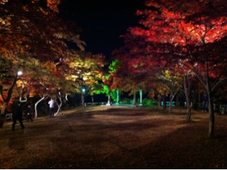 attachment01_20121101111112.jpg