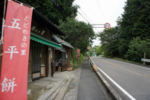 DSC05207.jpg