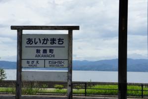 DSC05365.jpg