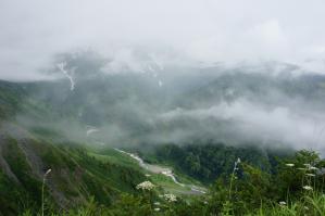 DSC05520.jpg