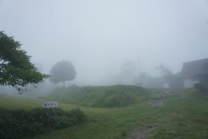 DSC05797.jpg
