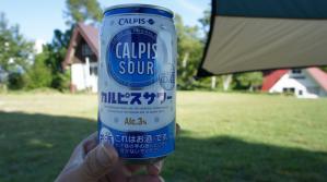 DSC05941.jpg
