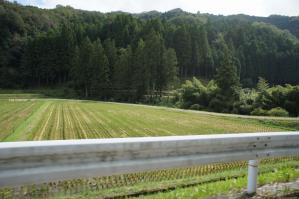 DSC06459.jpg