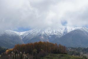 DSC07057.jpg