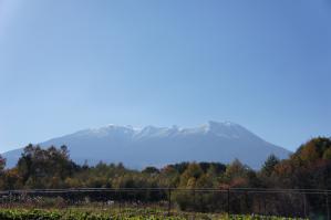 DSC07115.jpg