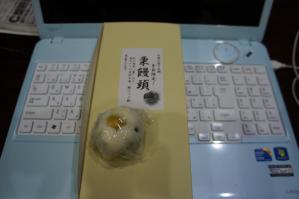 DSC07138.jpg