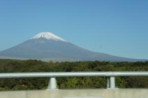 DSC07176.jpg