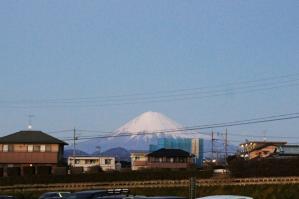 DSC07803.jpg