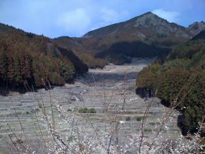 IMG_0680.jpg