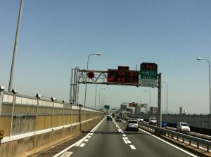 IMG_1995.jpg