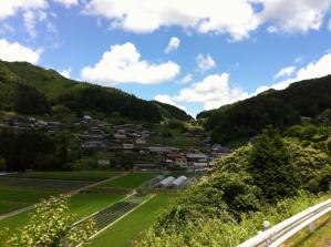 IMG_2090.jpg