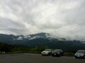 IMG_2316.jpg