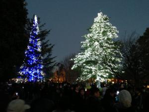 IMG_2580.jpg