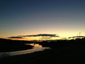 IMG_2642.jpg