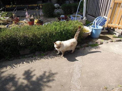 DSCN4346.jpg