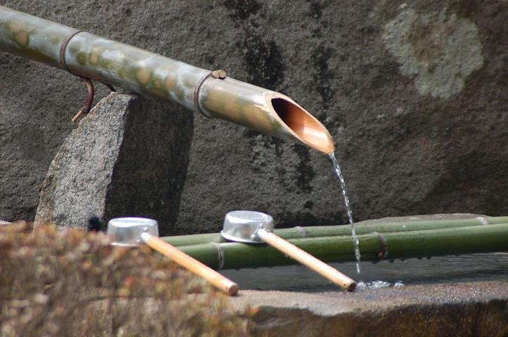 DSC_0015.jpg