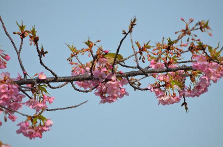 DSC_4627.jpg