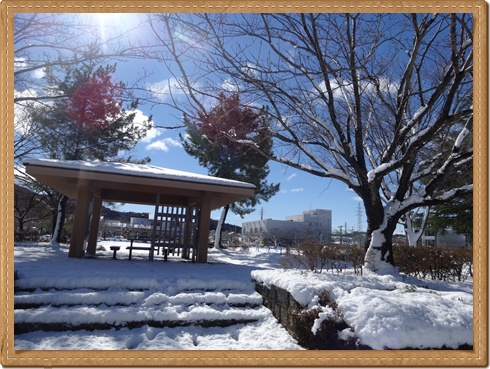 DSC02065-20140211-001104.jpg