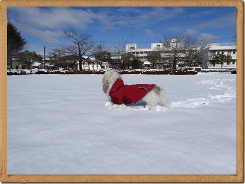DSC02092-20140211-001137.jpg