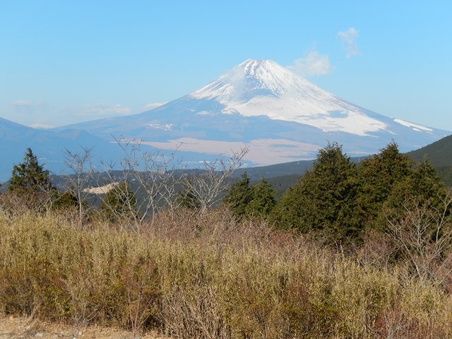 1gatuatami (10)