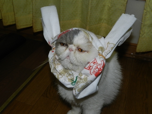 キラキラ