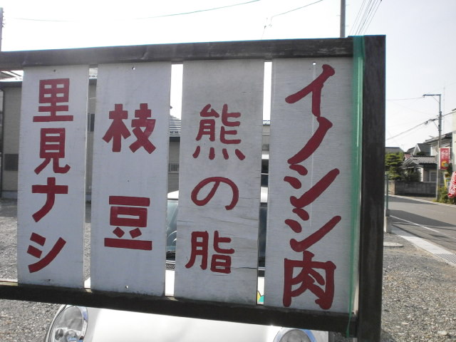 P9100821.jpg