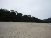DSC_0294 (640x480)