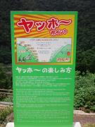 DSC_0361 (480x640)