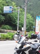 DSC_0351 (480x640)