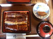 IMGP0365.jpg