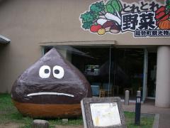 IMGP0860.jpg