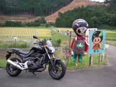IMGP0865.jpg