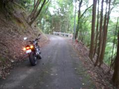 IMGP0878.jpg