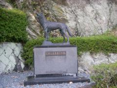 IMGP1197.jpg