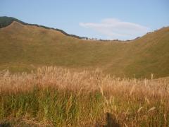 IMGP1218.jpg