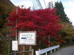 IMGP1279.jpg