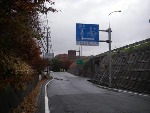 IMGP1412.jpg